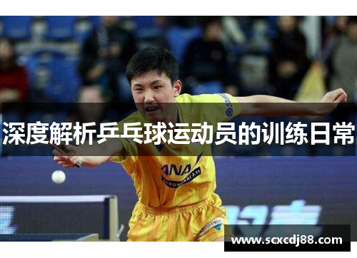 深度解析乒乓球运动员的训练日常